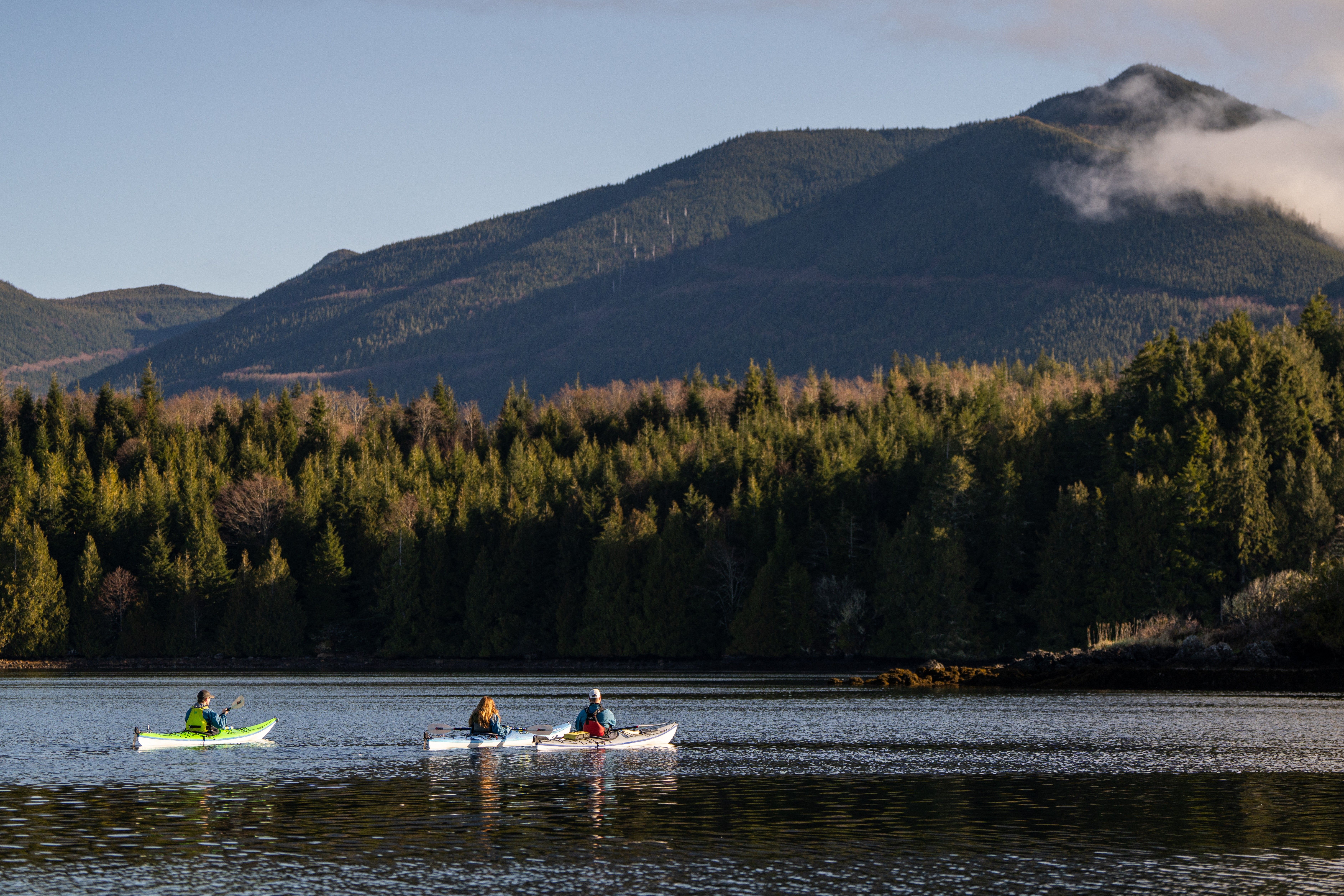 Kayakers paddling near the forested shoreline outside Ucluelet
