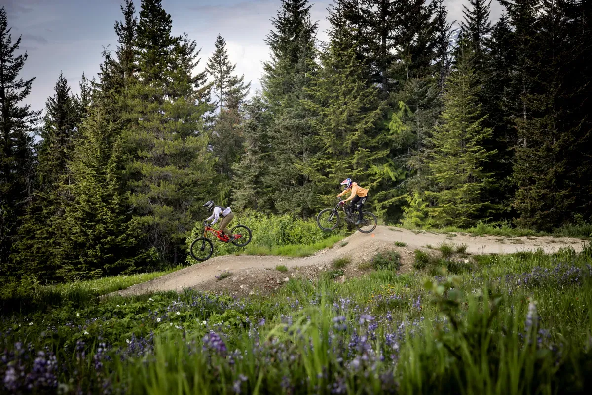 Mountain bikers biking in Whister Canada