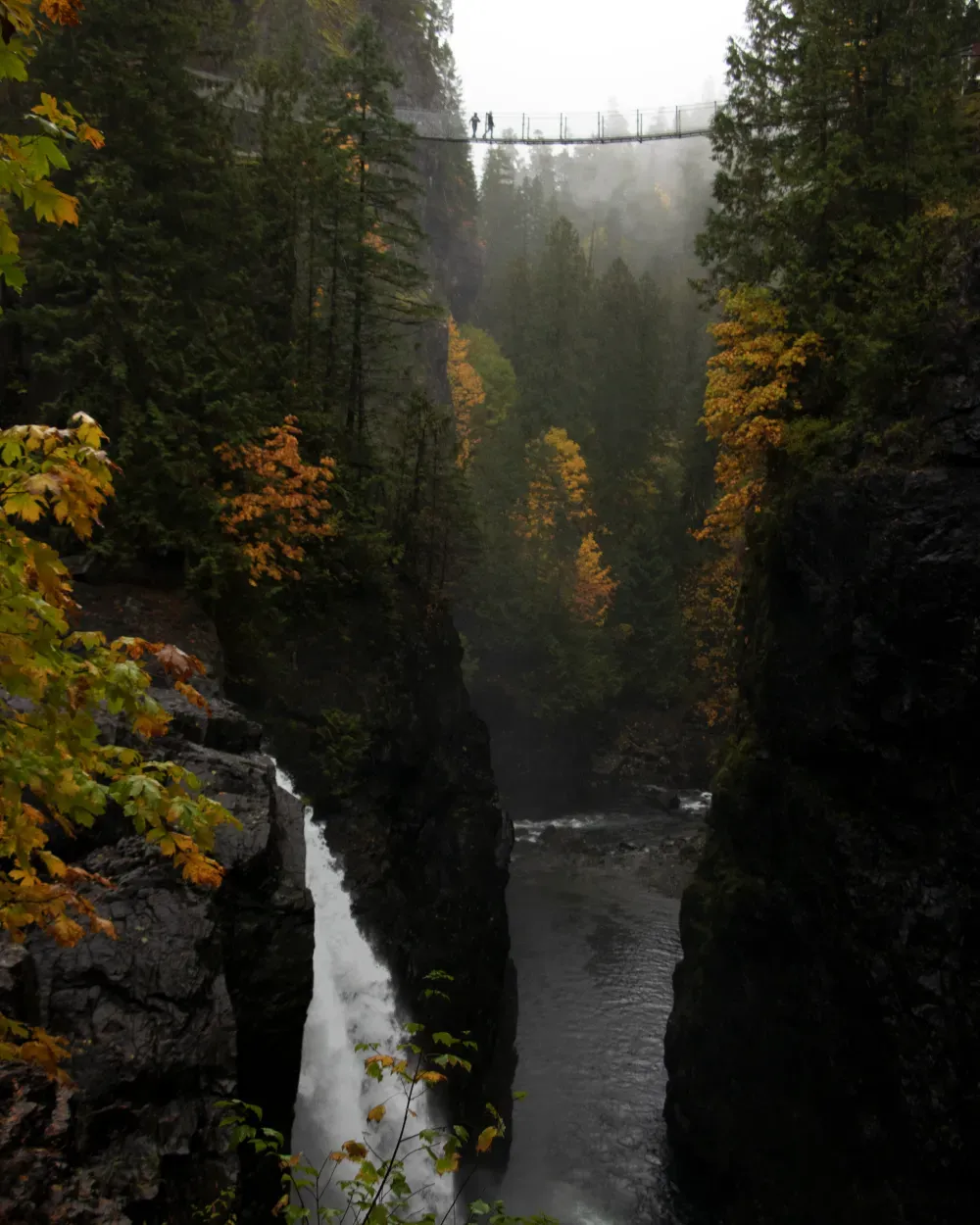 elk-falls-bc-canada