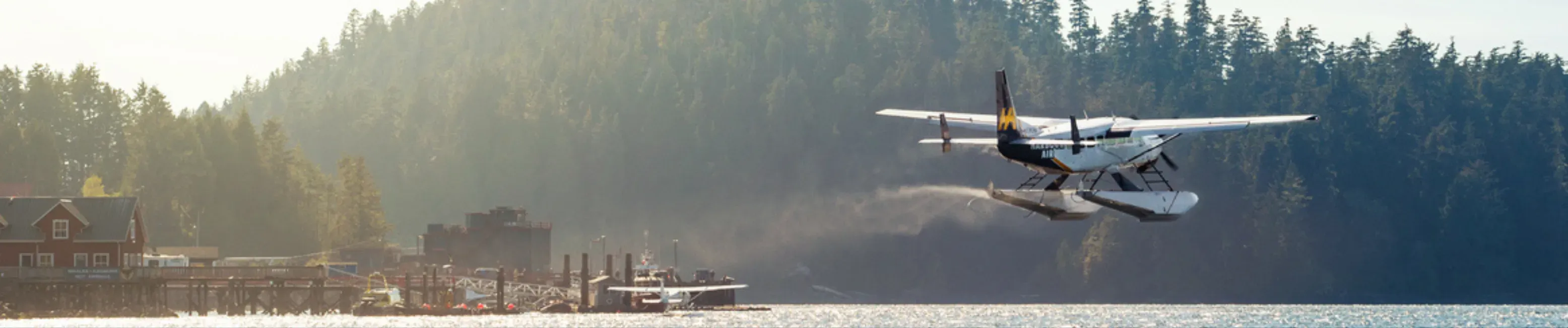 harbour air flight