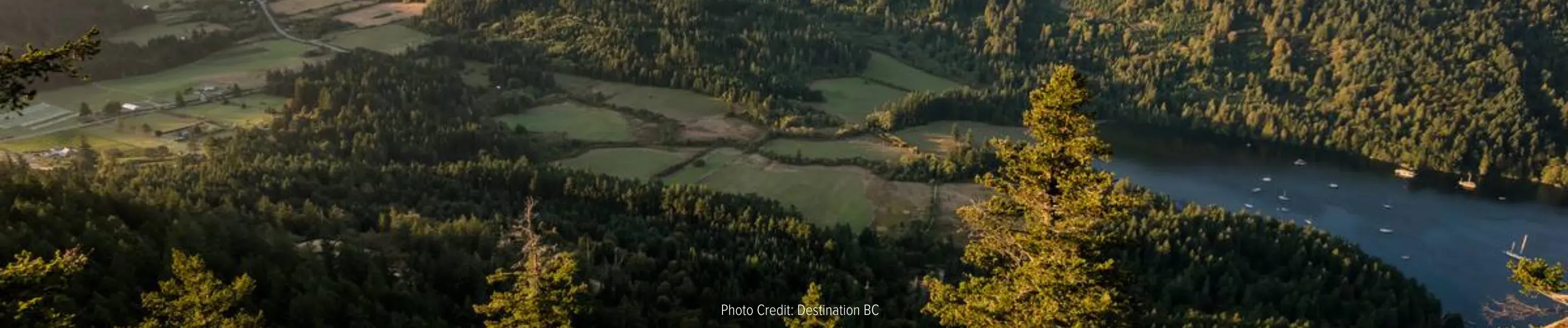 Harbour Air seaplane scenic day trip to Salt Spring Island with coastal views and relaxing travel experience