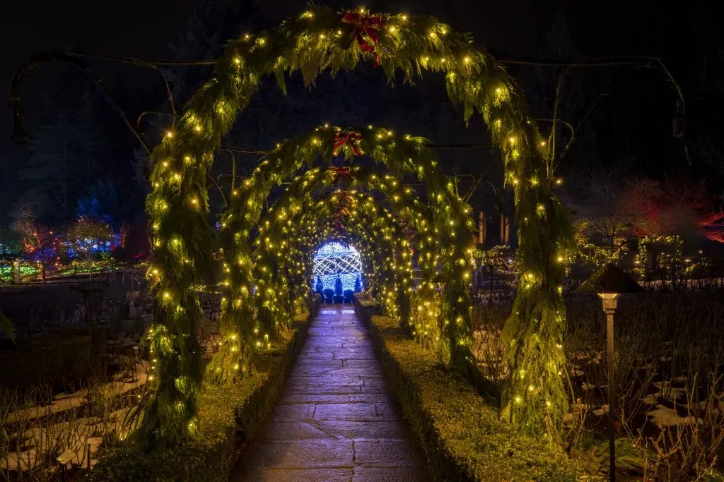 Christmas Lights (1).webp