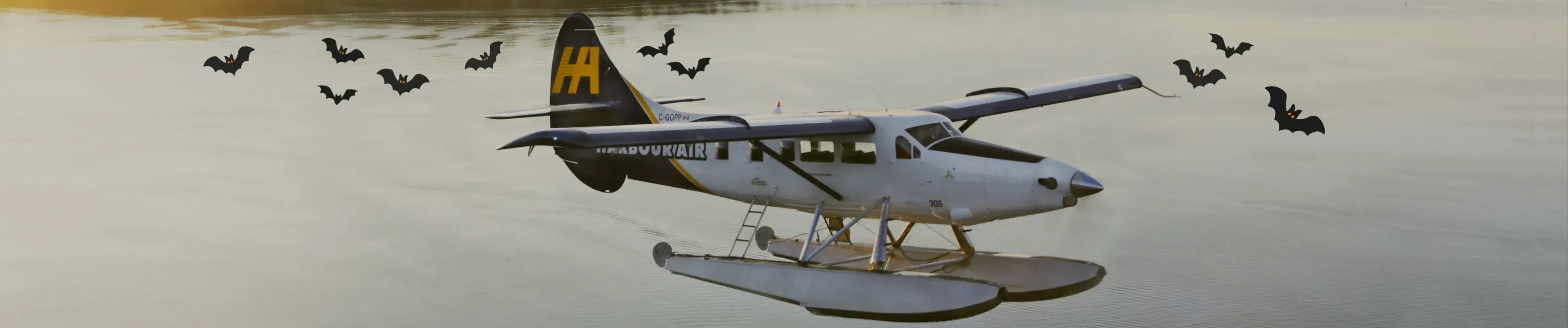 Halloween Happenings with Harbour Air