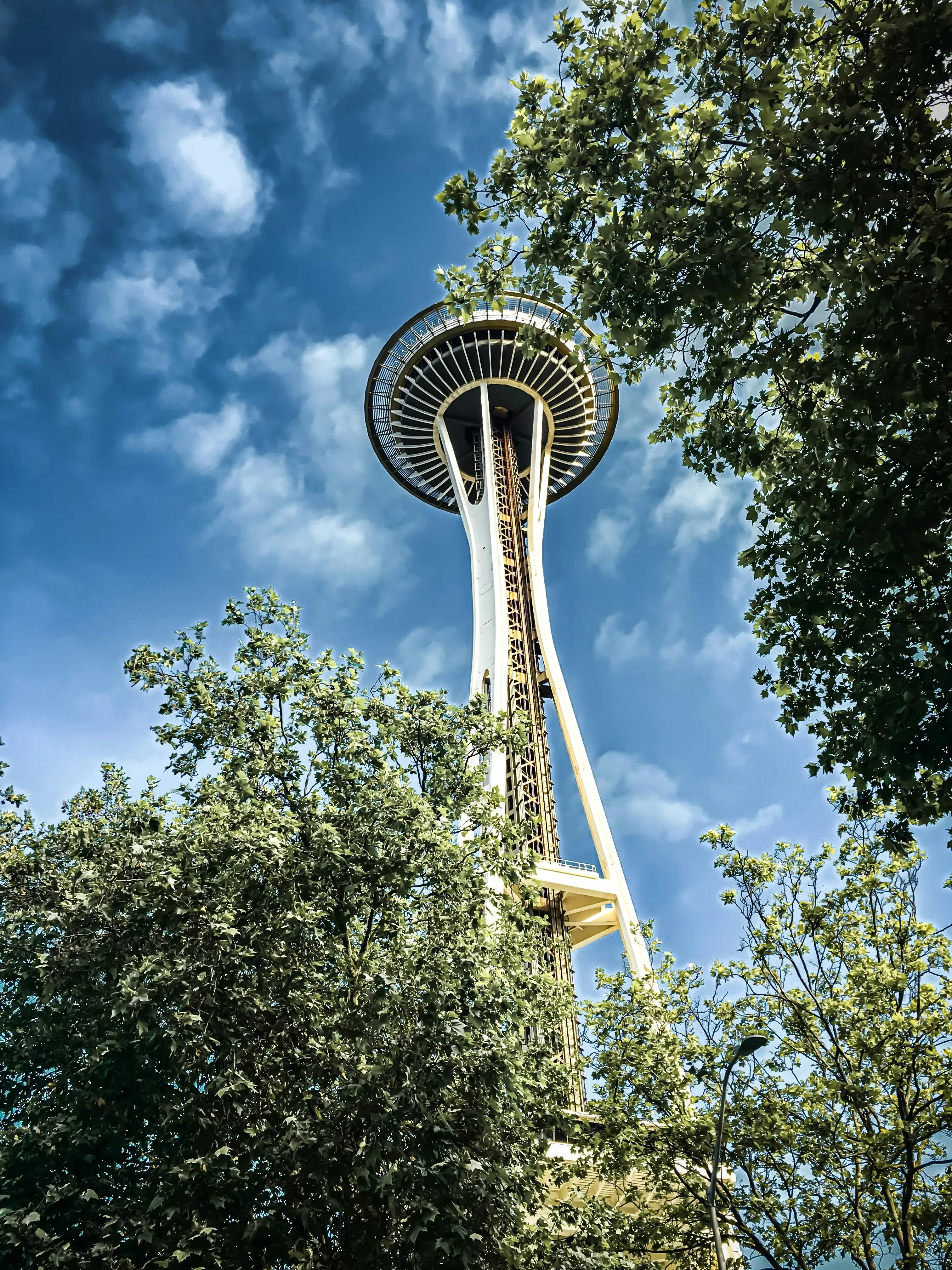 pexels-jaredvandermeer-3598103.webp