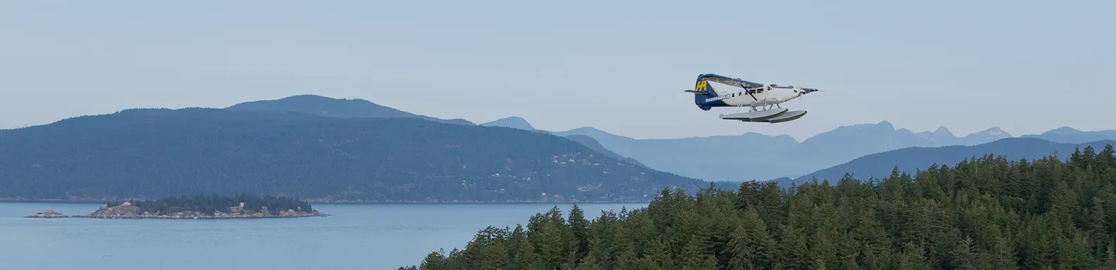 Top Seaplane 