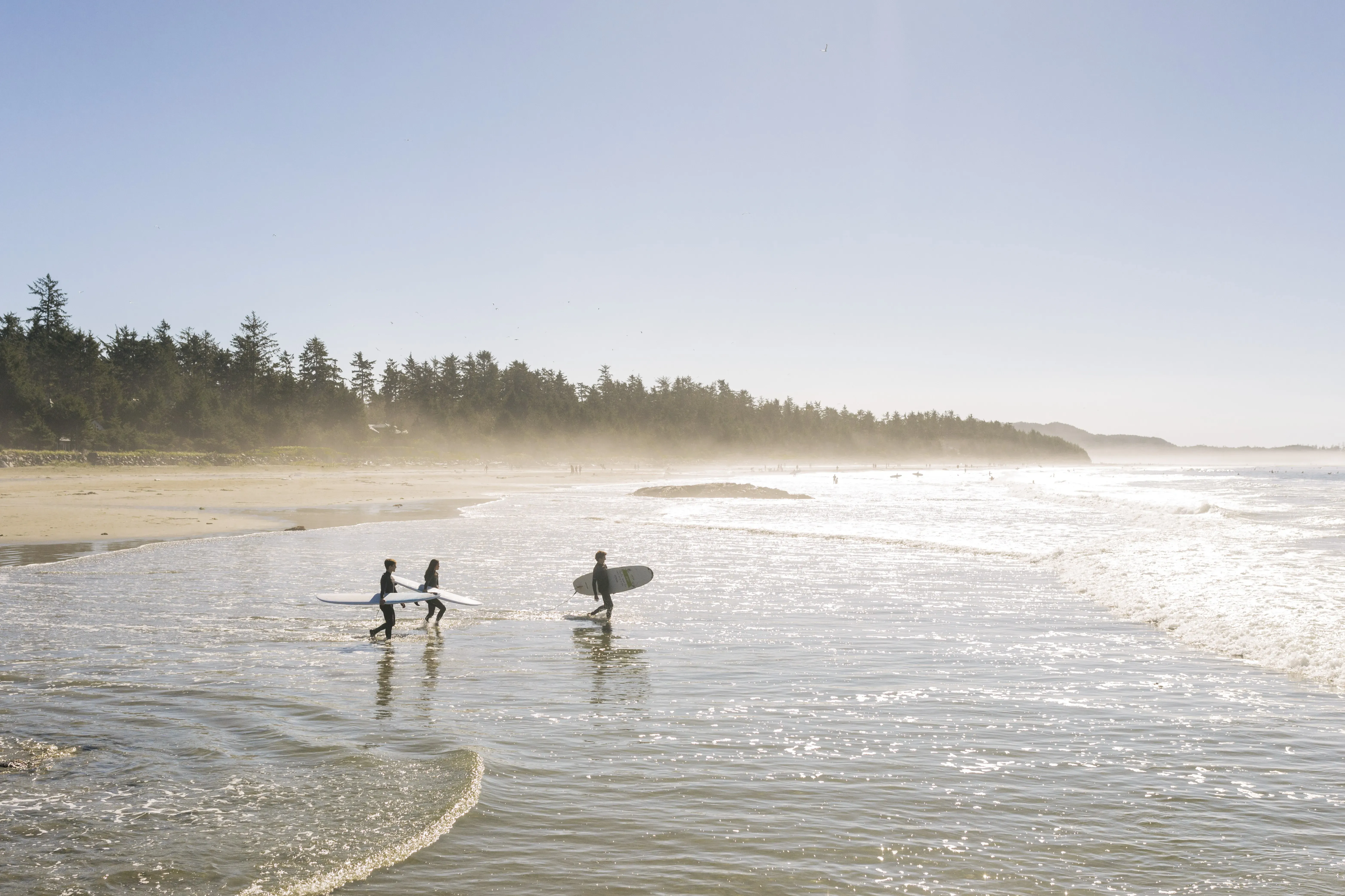 tofino.webp