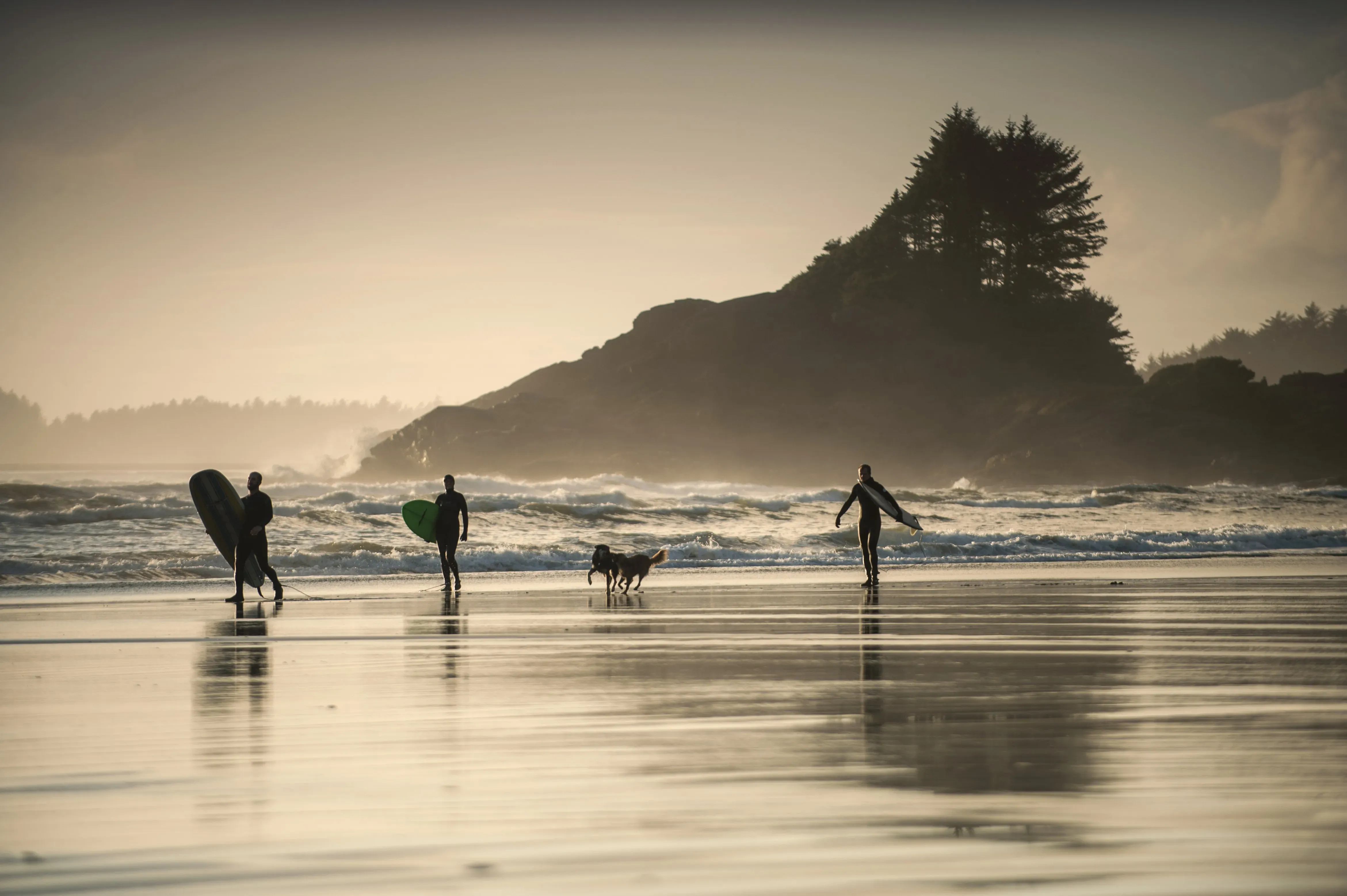 tofino surf.webp