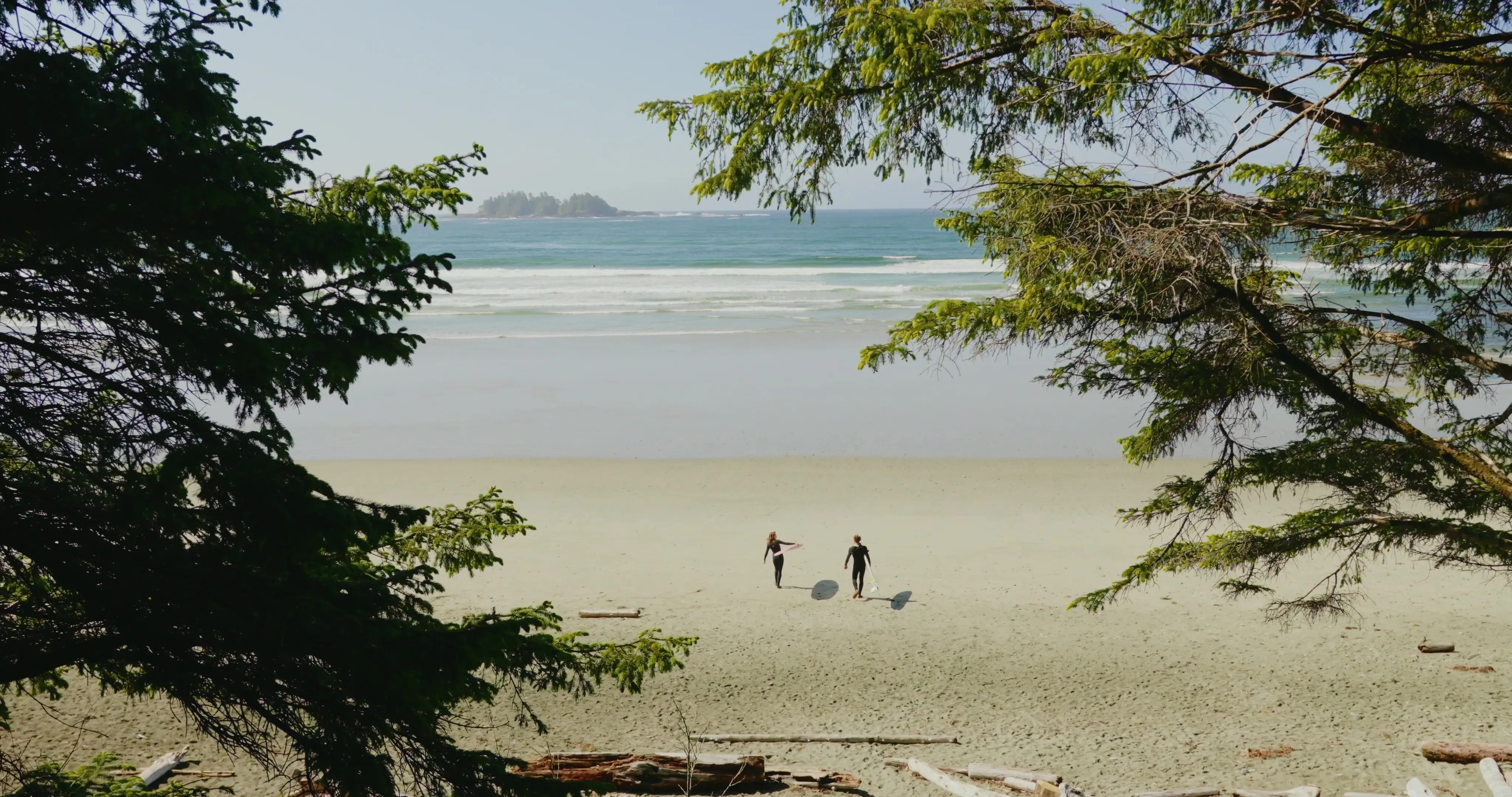 view (1).webp