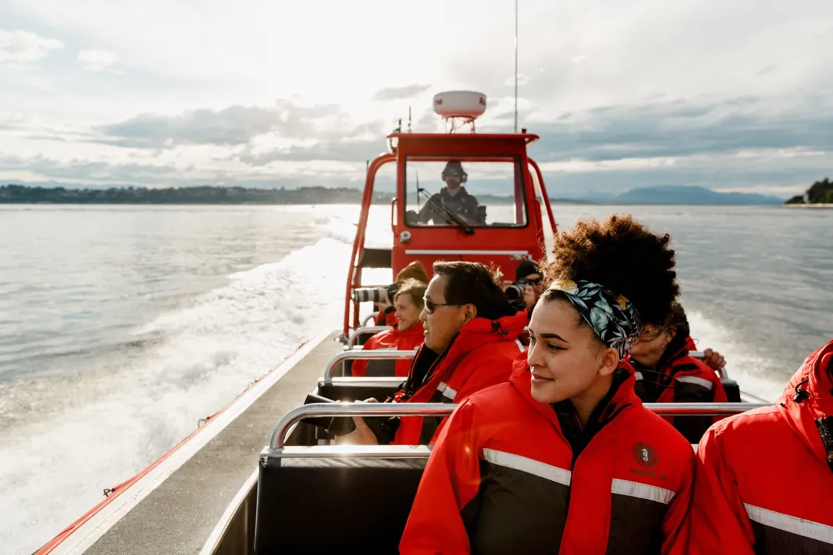 campbell-river-whale-watching-tour